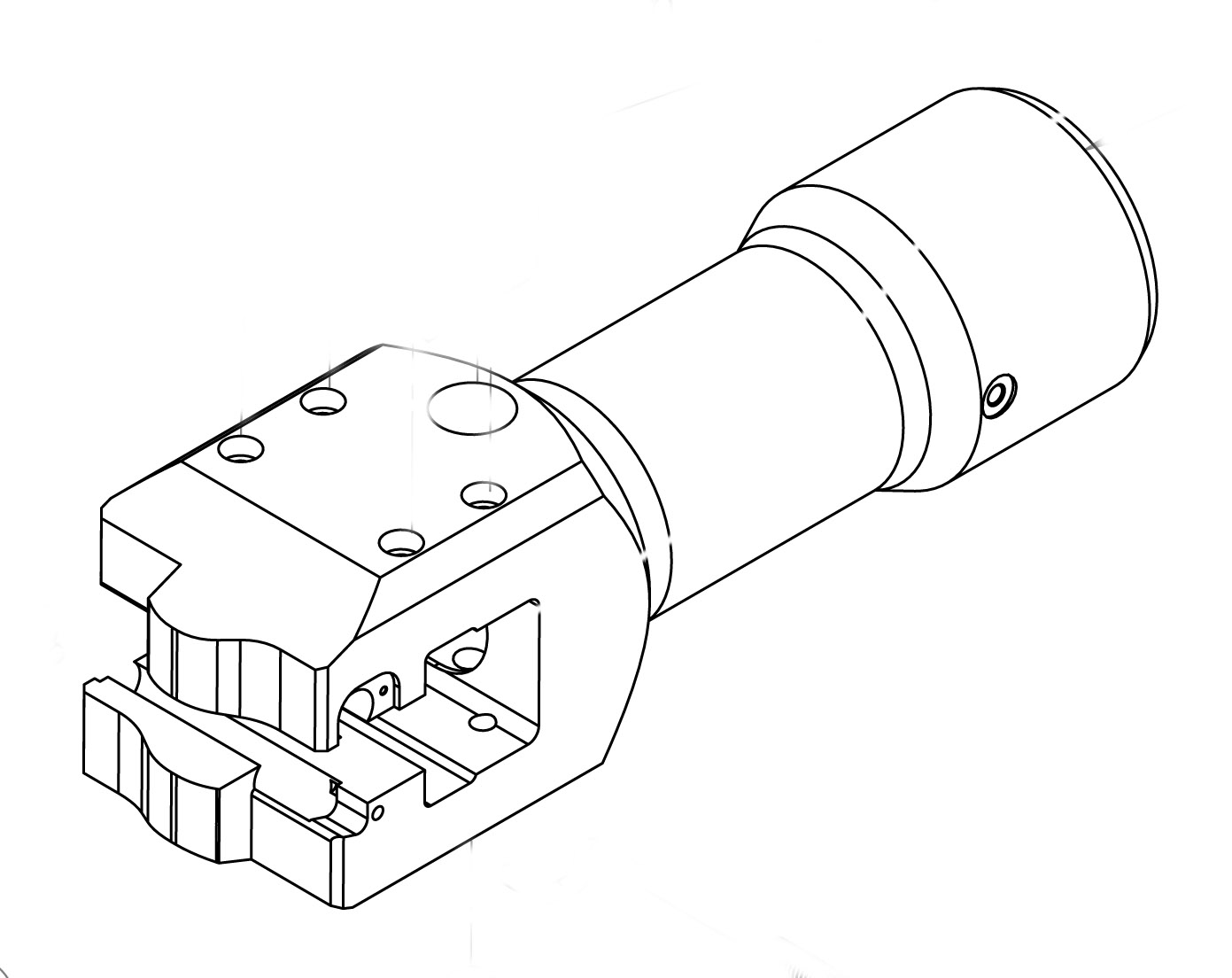 Wedges Fork